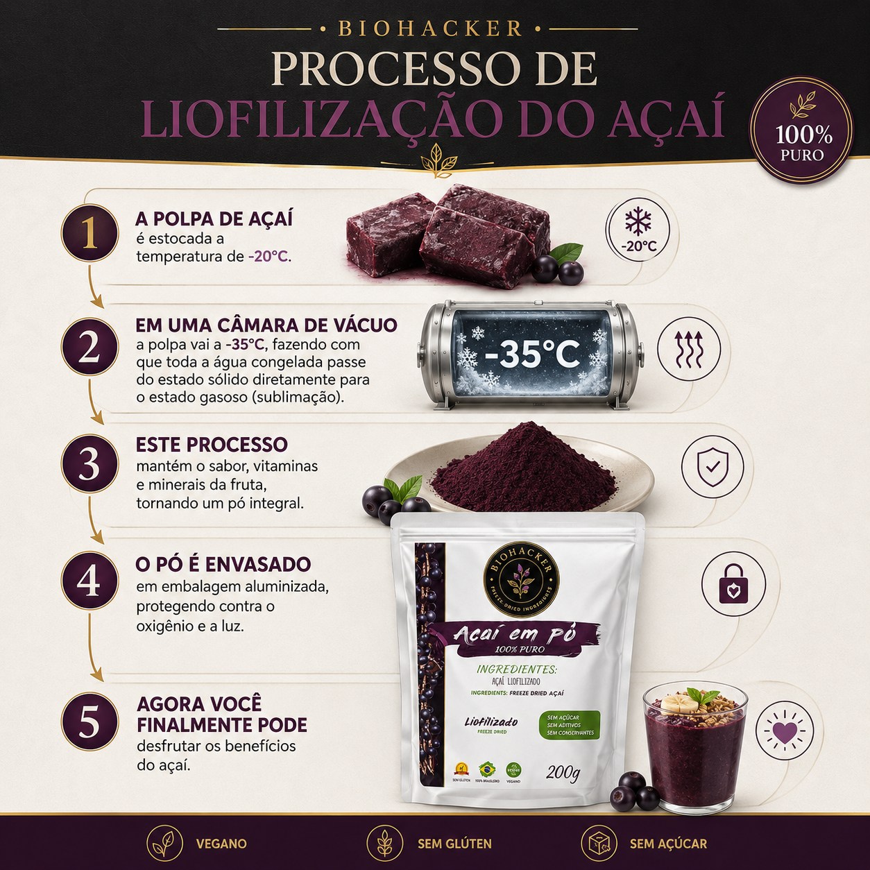 Infografía del proceso de liofilización del açaí, desde la pulpa congelada hasta el polvo envasado.
